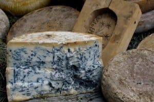 Leckerer Blauschimmelkäse lässt sich durch die richtige Lagerung länger haltbar machen