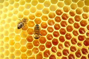 Das alte Hausmittel Honig hilft gegen tiefliegende, dicke und schmerzende Pickel die unter der Haut liegen