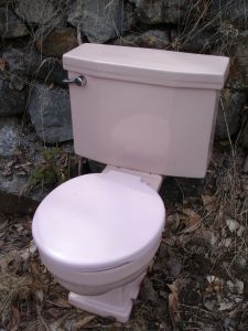 toilet5