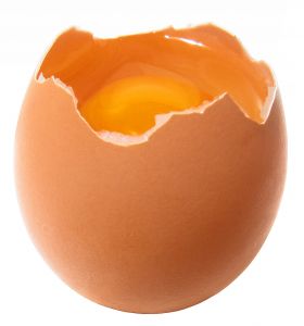 egg22