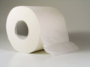 toilet paper2